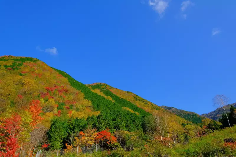 富士見台高原から望む神坂峠