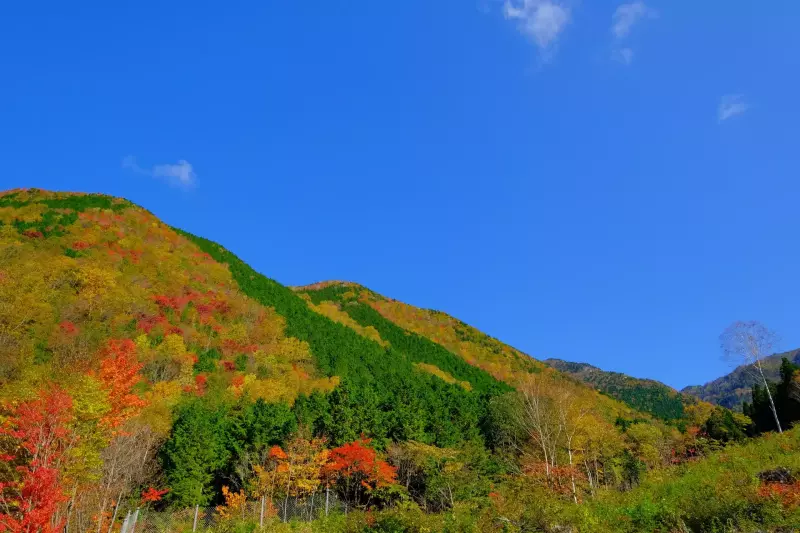 富士見台高原から望む神坂峠