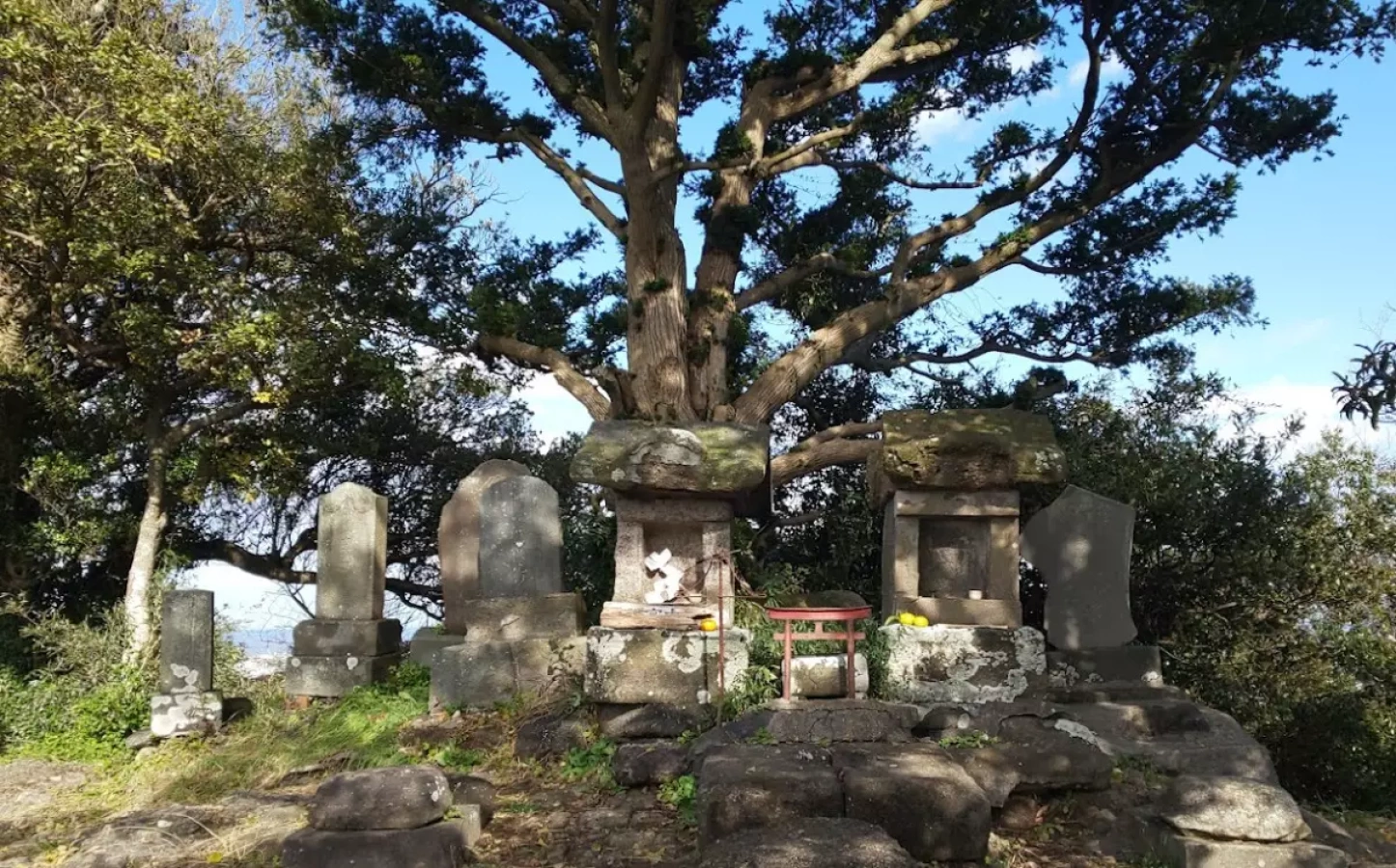 【日帰り登山】初心者におすすめ!山頂からの展望が良い三浦富士の難易度別ルート紹介