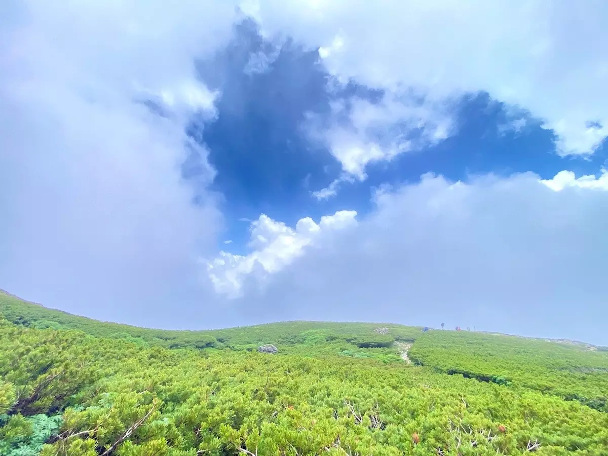 日本百名山の白山登山:南竜ヶ馬場でテント泊&高山植物を楽しむ