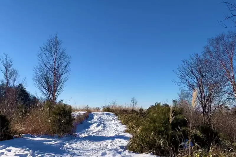 蛇峠山の登山路
