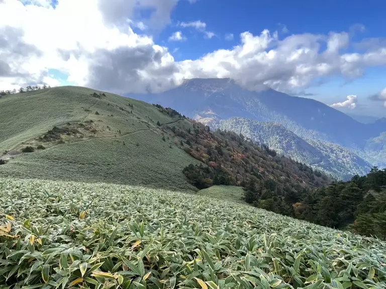 南沢山の稜線歩き
