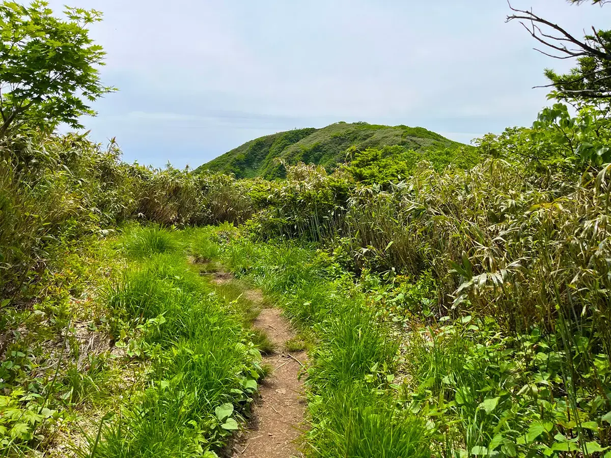 能郷白山|初心者も楽しめる360度パノラマ展望!難易度別登山コース紹介