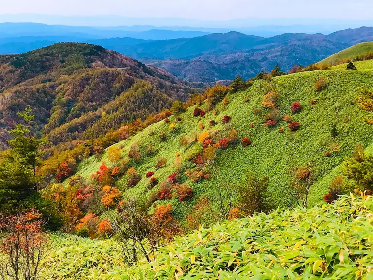 大川入山