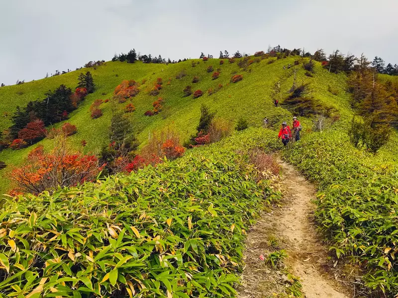 大川入山の赤い羊