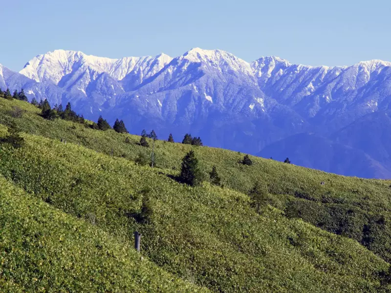 奥三界岳の景色