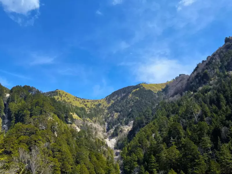 7:15am 林道からの眺めも軽快です!森のパッチワークが美しい