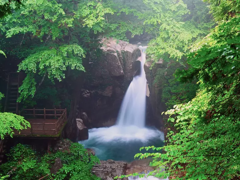 夏の涼しい夕森渓谷と竜神の滝