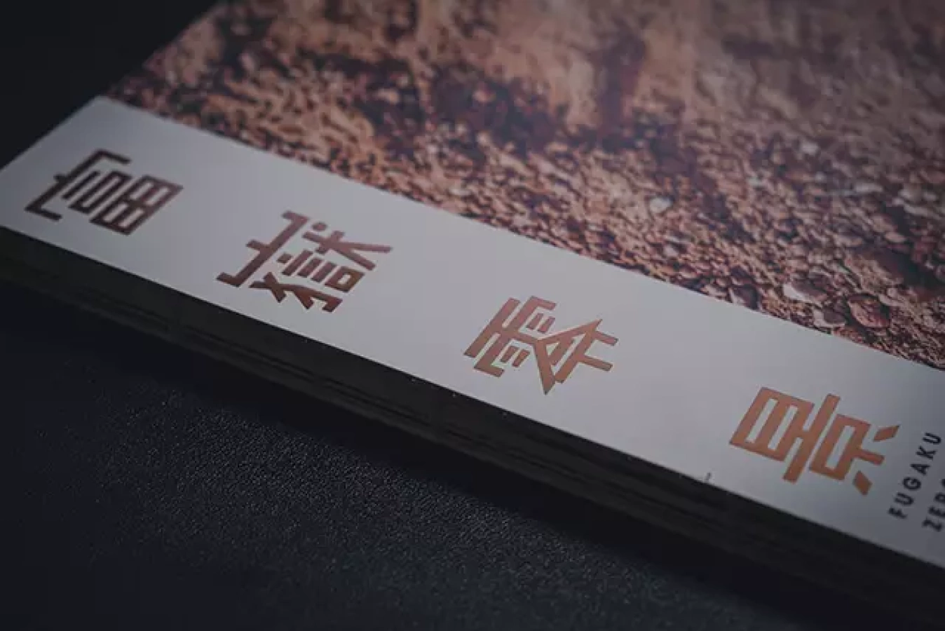 富士山の神秘と美を凝縮した『富嶽零景』:プロジェクトメンバーの舞台裏と臨場感あふれる写真が織り成す感動の一冊〜6/24は出版記念オンライントークショーが開催