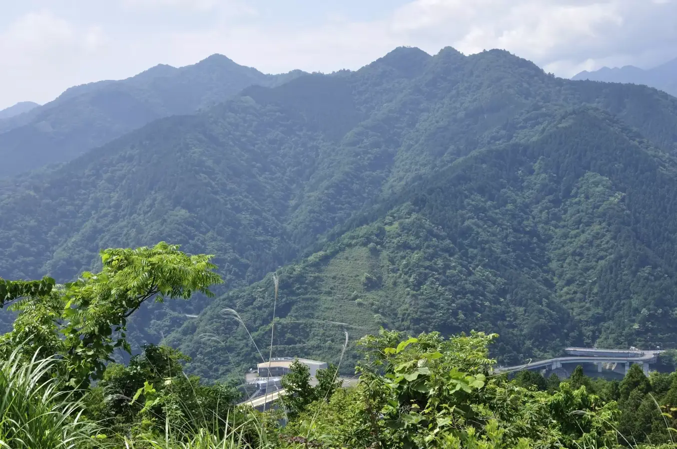 【日帰り登山】宮ケ瀬湖の絶景が楽しめる仏果山ハイキングの難易度別ルート紹介