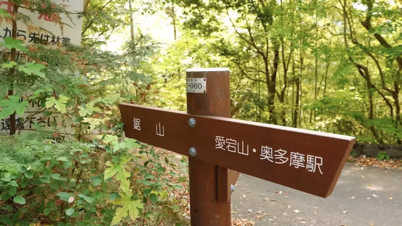 奥多摩 登山 鋸山