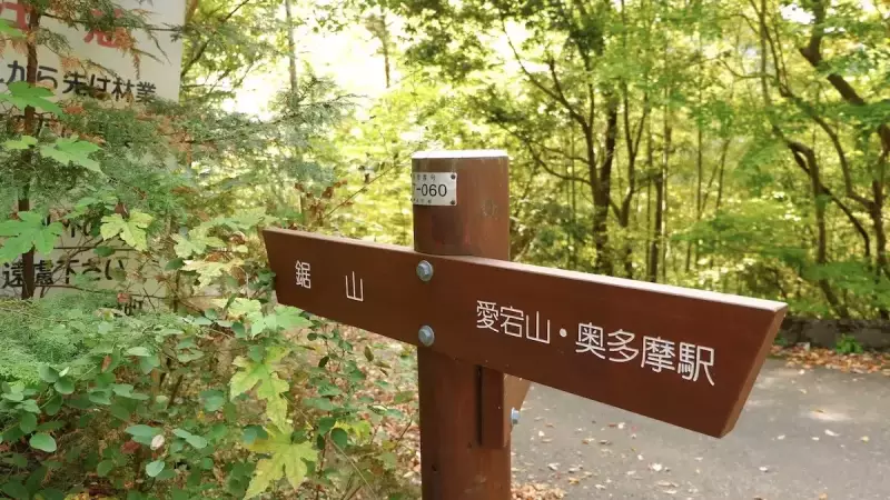 奥多摩 登山 鋸山