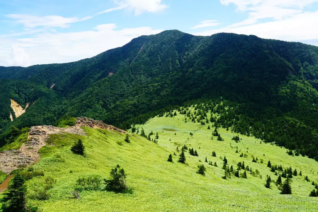 根子岳登山|難易度別・日帰りコース紹介【花と絶景を楽しむ】