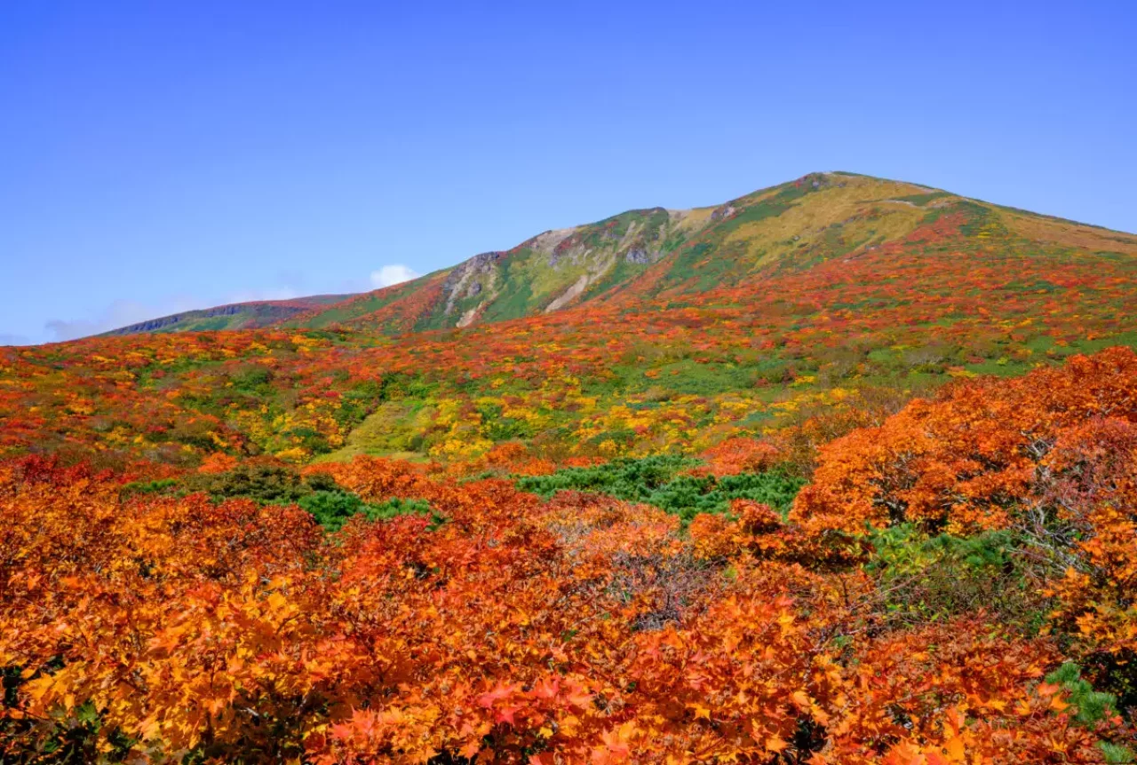 栗駒山の紅葉
秋 登山 紅葉