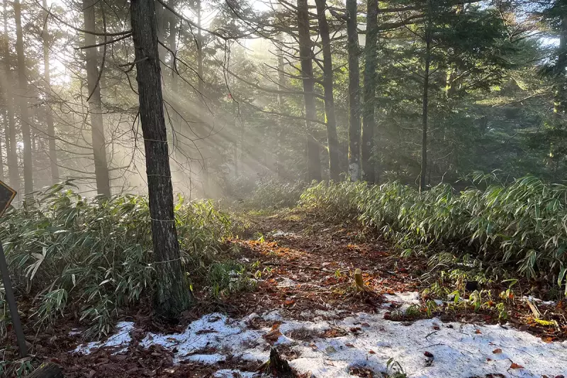 高鳥屋山の清内路街道
